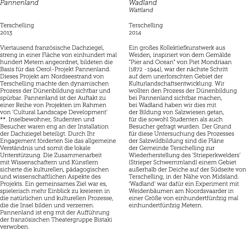 Pannenland Terschelling 2013 Viertausend franz sische Dachziegel, streng in einer Fl che von einhundert mal hundert M   